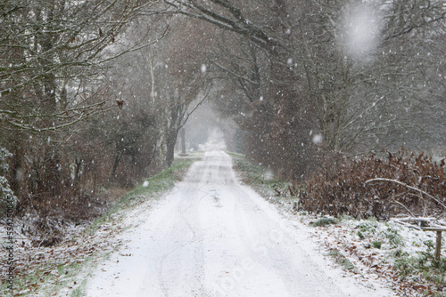 snow covered road