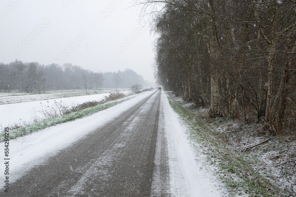Fototapeta premium road in winter