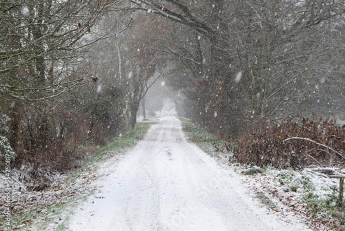 road in winter