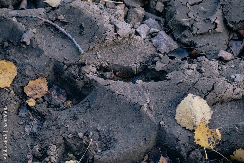 black soil with tractor tire prints and some yellow autumn leaves black soil with tractor tire prints and some yellow autumn leaves