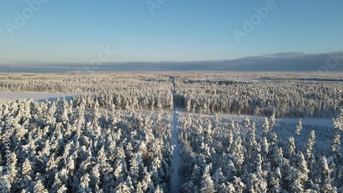 Winter forest landscape drone footage. Trees covered in snow photo