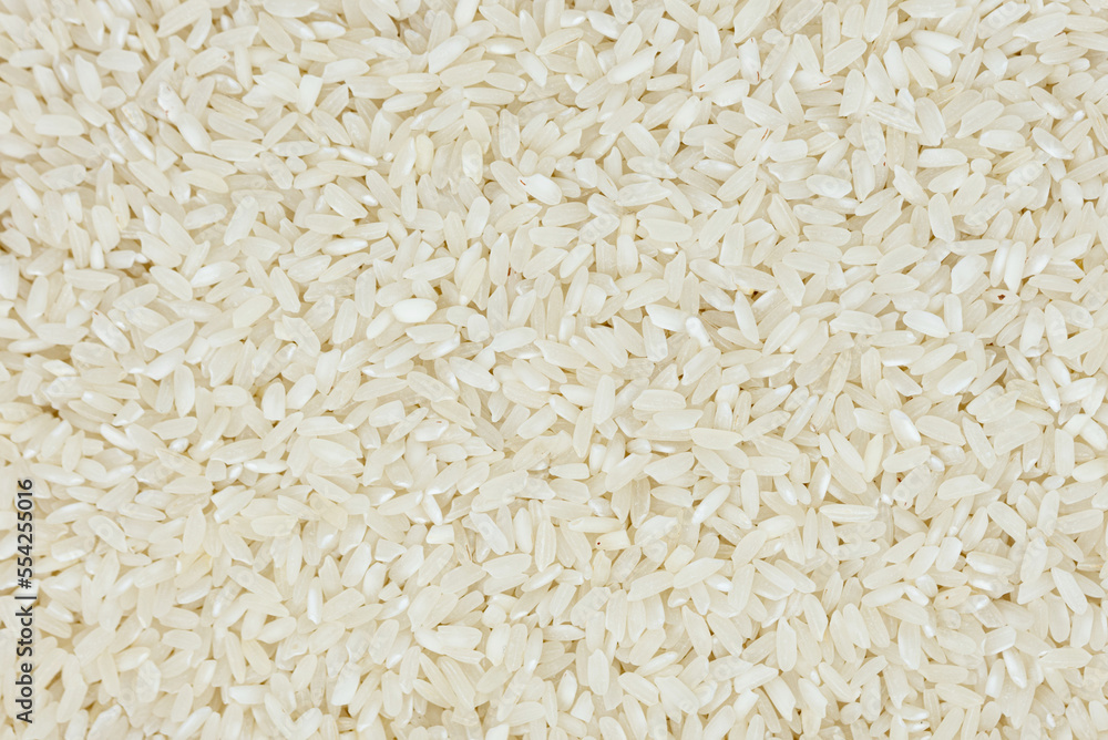the seeds of white rice the seeds of white rice