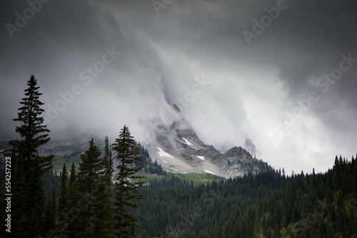 Misty mountains and trees in Fernie, Canada. photo