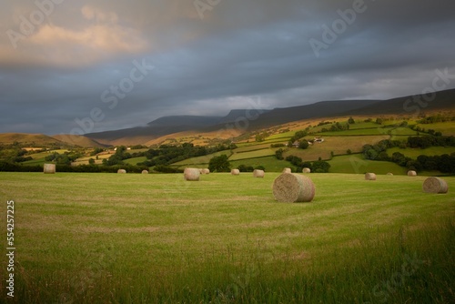 A field with hay bales in, Llyn Y Fan peaks in the distance, Carmarthenshire, Wales