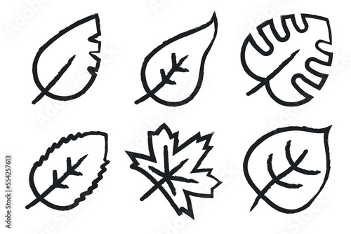 Hand Drawn Leaf Outlines