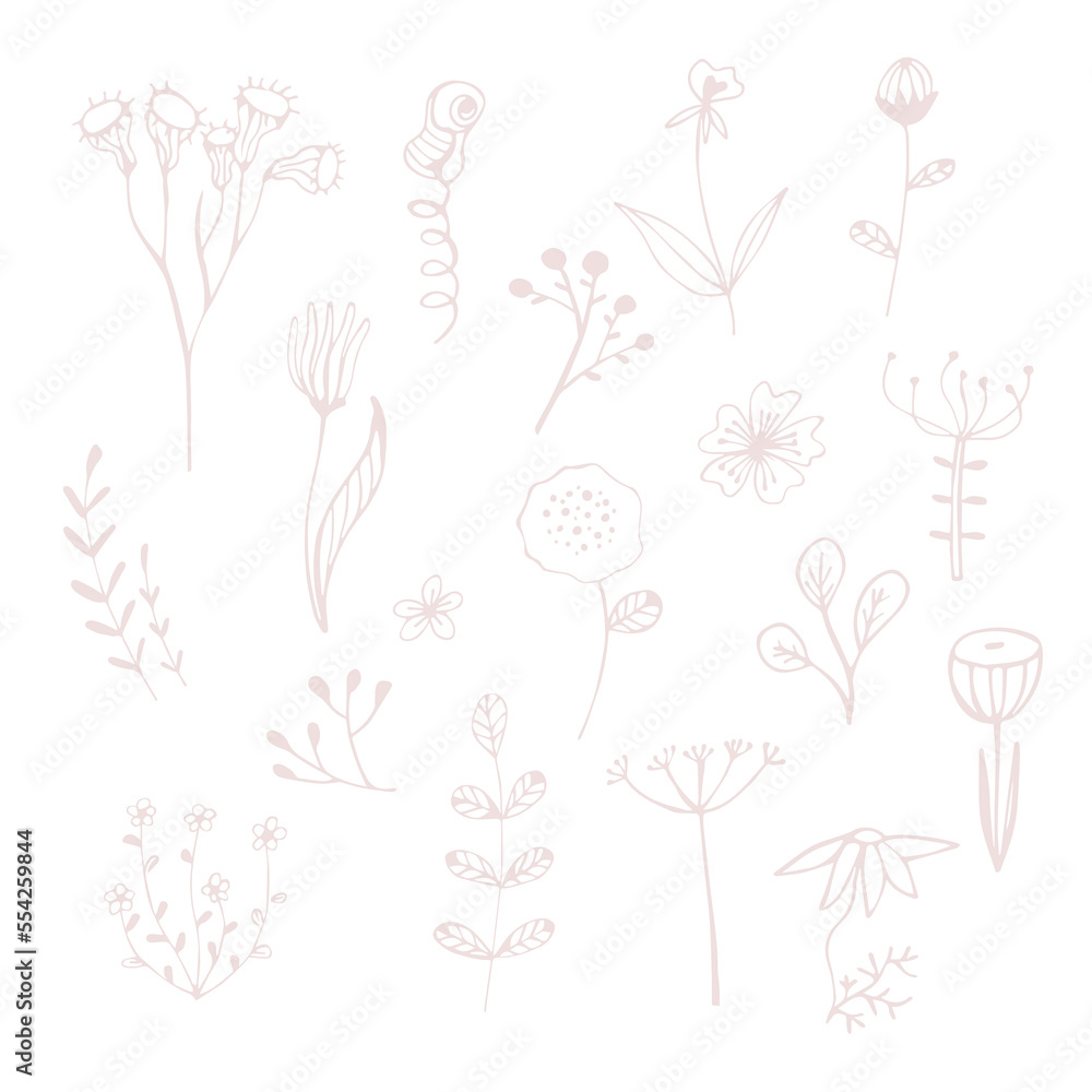 Herbal and meadow plants, grass. Wildflower line art set. Flower doodle botanical collection. Simple hand drawn elements. Vector illustration isolated on white background.