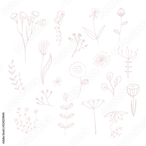 Herbal and meadow plants, grass. Wildflower line art set. Flower doodle botanical collection. Simple hand drawn elements. Vector illustration isolated on white background.