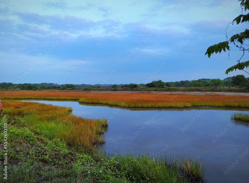 Fototapeta premium Water, Nature, sky, wetland, landscape