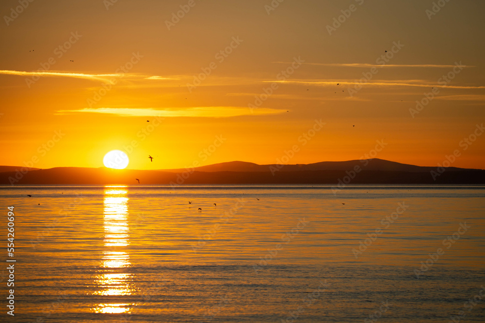 Sunrise from Skomer Island, Pembrokeshire. Orange sky reflecting on the sea, Sea birds flying.