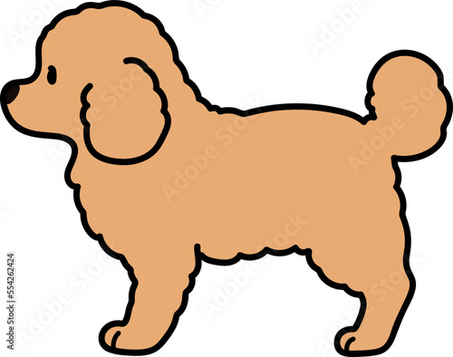 Simple and cute illustration of Toy Poodle in side view