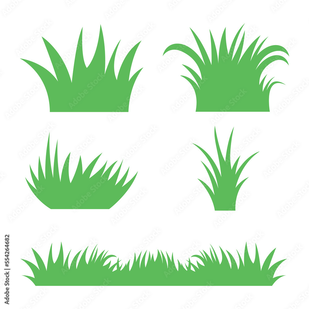 Fototapeta premium Multiple Different Green Grass On White Background