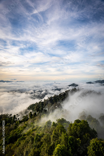  aerial top view of forest trees and green mountain hills with sea fog, mist and clouds