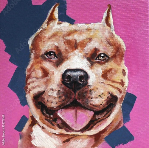 Amsstaff dog face 