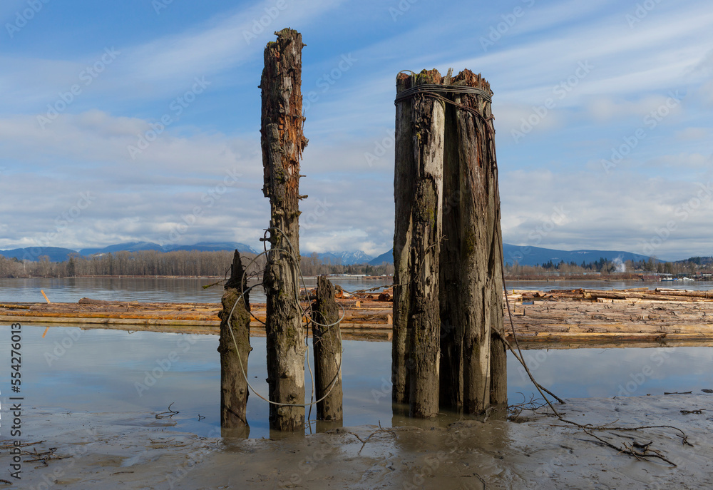 Weathered pilings at Brae Island Regional Park; Fort Langley, British Columbia, Canada Weathered pilings at Brae Island Regional Park; Fort Langley, British Columbia, Canada
