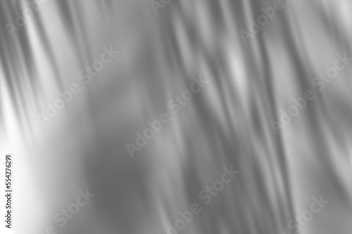 Abstract shadow black white palm leaf shadow on a white wall Background. Blank copy space. png transparent
