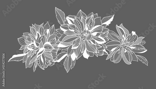 lace dahlias flowers and foliage. Vector illustration, bouquet.