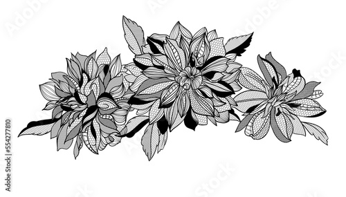 lace dahlias flowers and foliage. Vector illustration, bouquet.