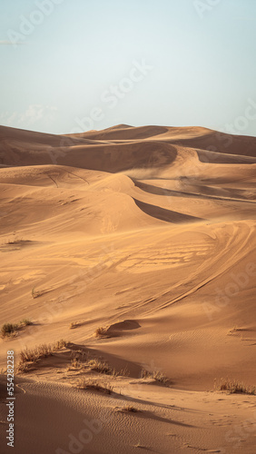 Sand texture in Morocco Sahara Merzouga Desert portrait oriented