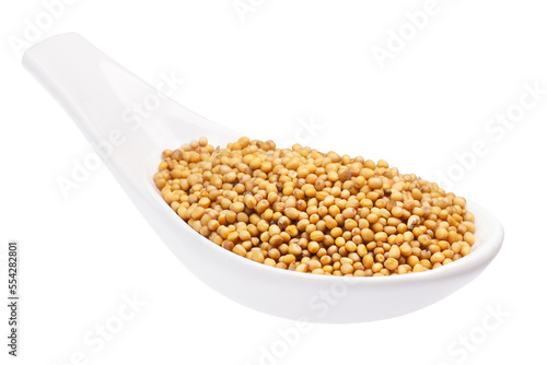 White ceramic spoon of whole yellow mustard seeds (Sinapis alba) isolated png photo