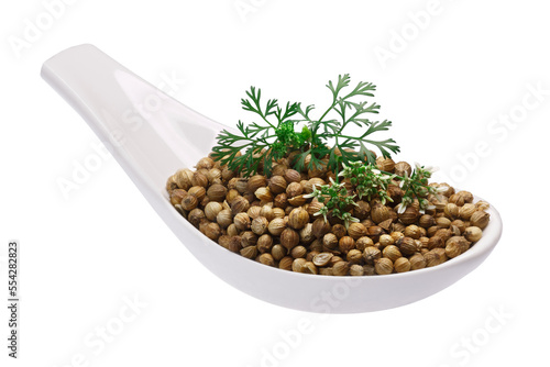 Ceramic spoon of dried Coriander or Cilantro seeds (Coriandrum sativum fruits) with coriander flowers isolated png photo