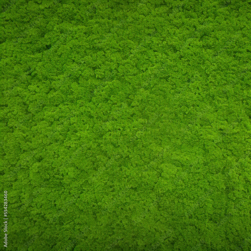 green grass texture background green grass texture background