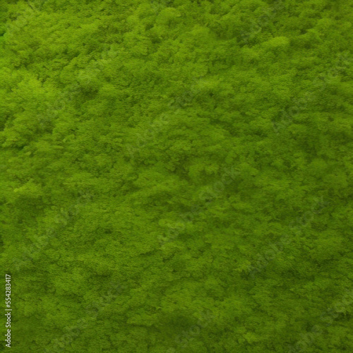 green grass texture background