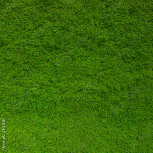 green grass texture background