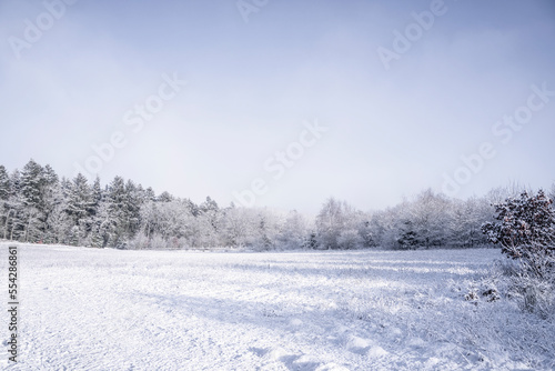 Snow covered field on a bright winter day