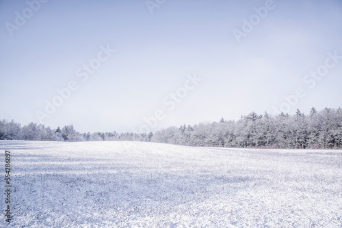 Snow on a  meadow © Polarpx