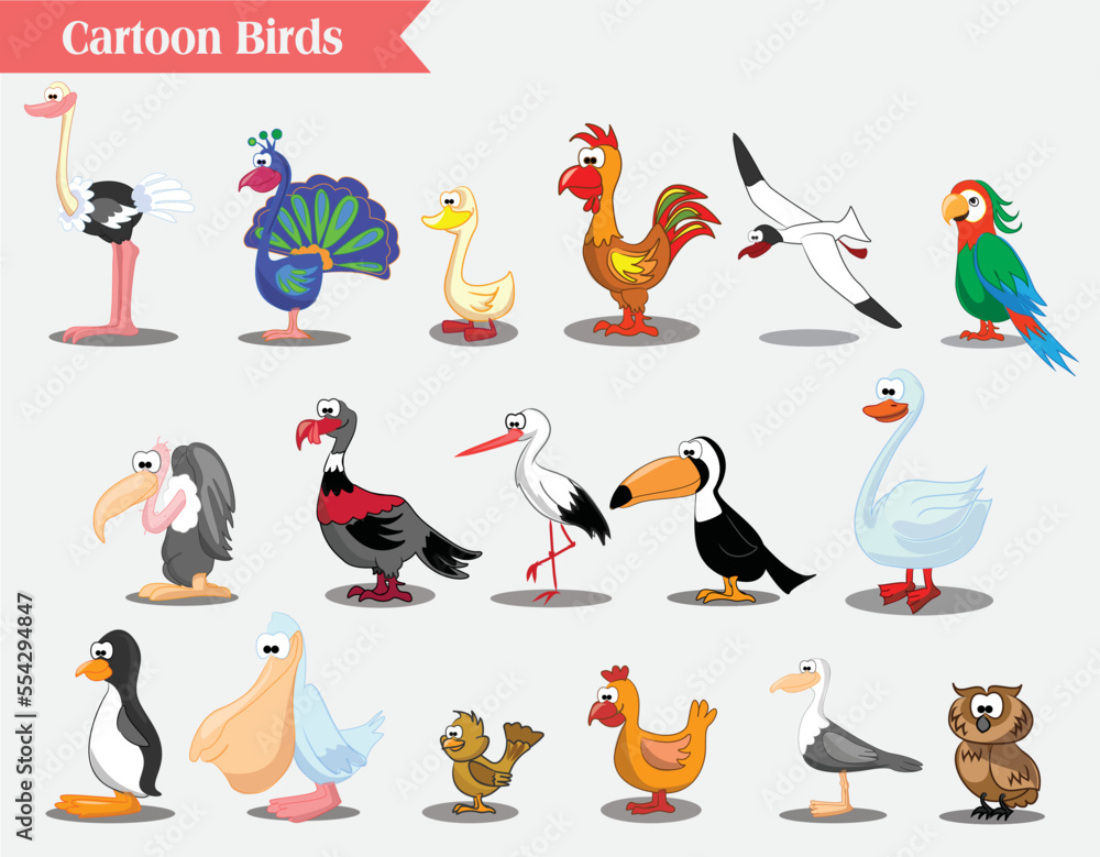 Vector illustration of different kind of birds. Set of cartoon birds.