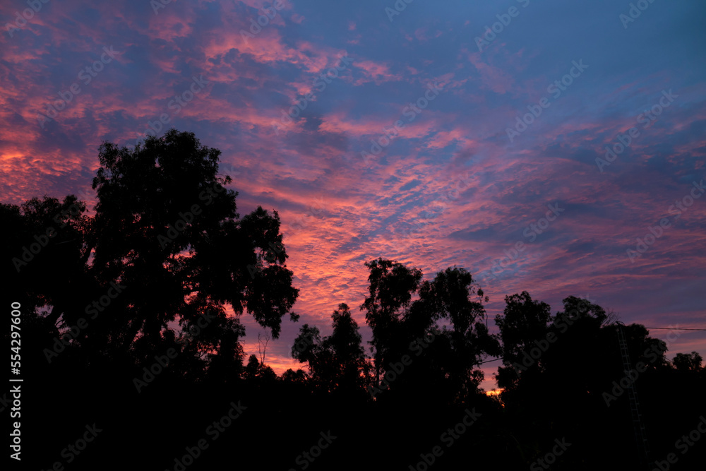 Fototapeta premium Pink Clouds and lovely sky at Sunset in Alicante