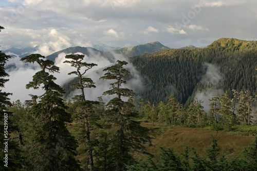 Fog lifts over forested islands of muskeg terrain above Sitka Sound, Alaska, USA