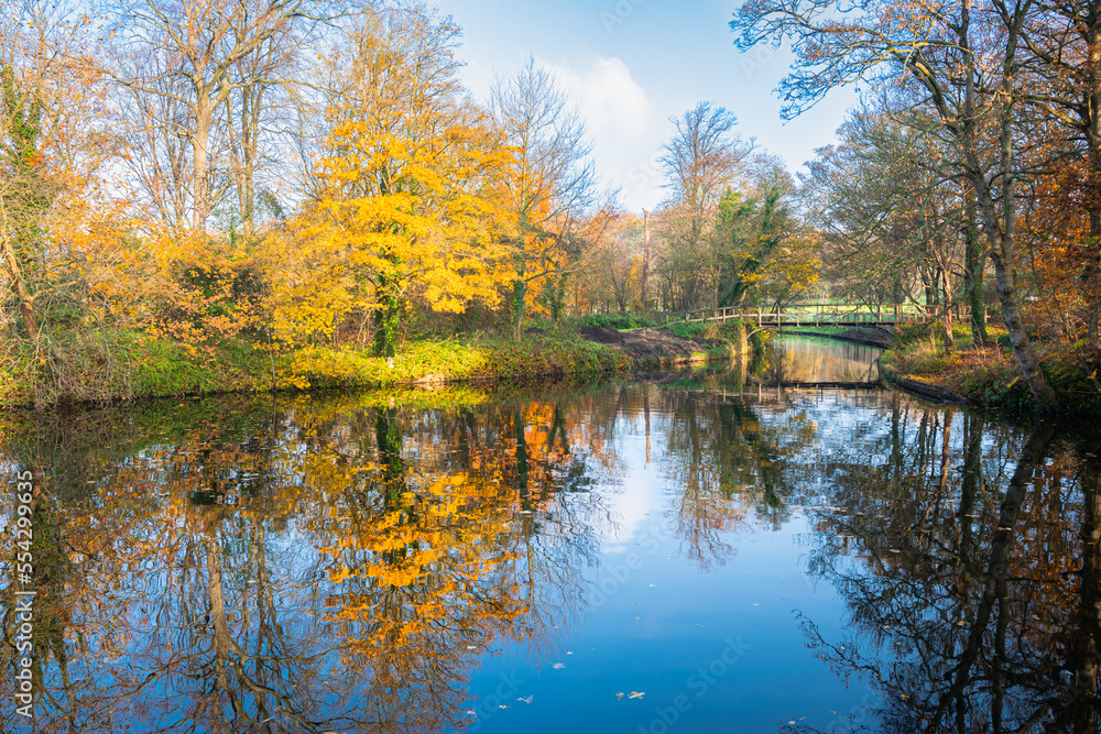 Gorgeous reflections of trees in fall colours in the water of a pond in city park 