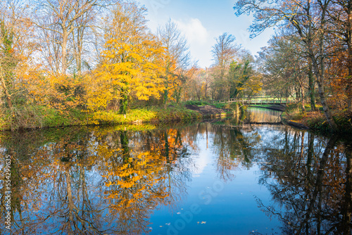 Gorgeous reflections of trees in fall colours in the water of a pond in city park "Westbroekpark" in The Hague, Netherlands