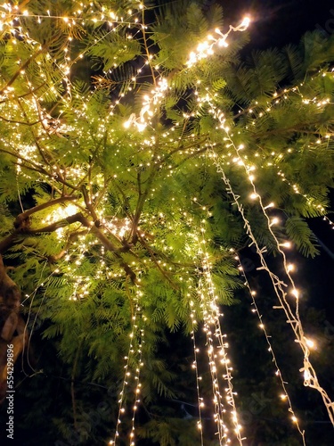 christmas tree lights