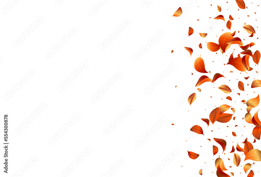Fototapeta premium Orange Leaf Swirl Vector White Background