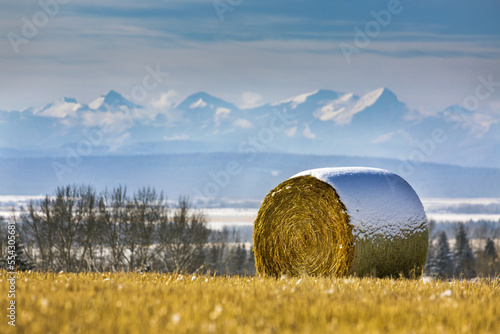 Snow-covered hay bale in a stubble field with snow-covered mountains and foothills in the background with clouds and blue sky, West of Calgary; Alberta, Canada photo