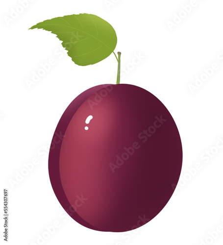 Coloured plum with green leaf. Fruit. isolated illustration