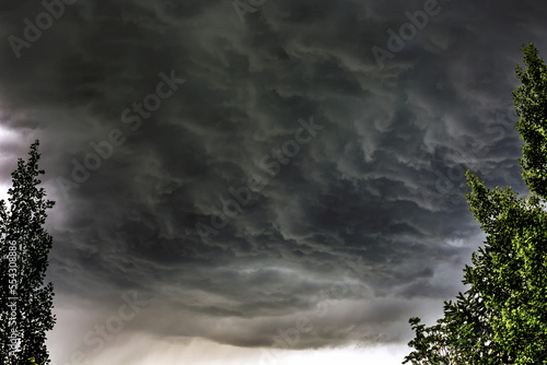 Dramatic dark grey storm clouds framed by trees; Calgary, Alberta, Canada