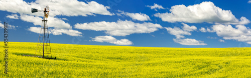 Panorama of a flowering canola field with an old wind mill tower in the middle, with a blue sky and white, puffy clouds; North of Three Hills, Alberta, Canada photo