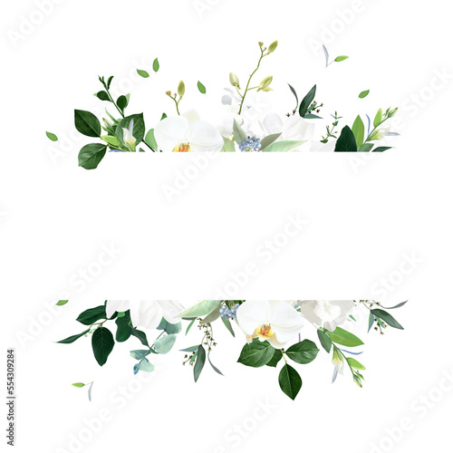 Floral horizontal vector frame. Hand painted plants, branches, leaves on a white background