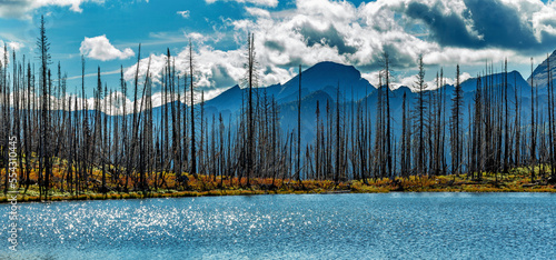 Alpine lake reflecting the sun with burnt trees along shoreline and silhouette mountain range in the background in Waterton Lakes National Park; Waterton, Alberta, Canada