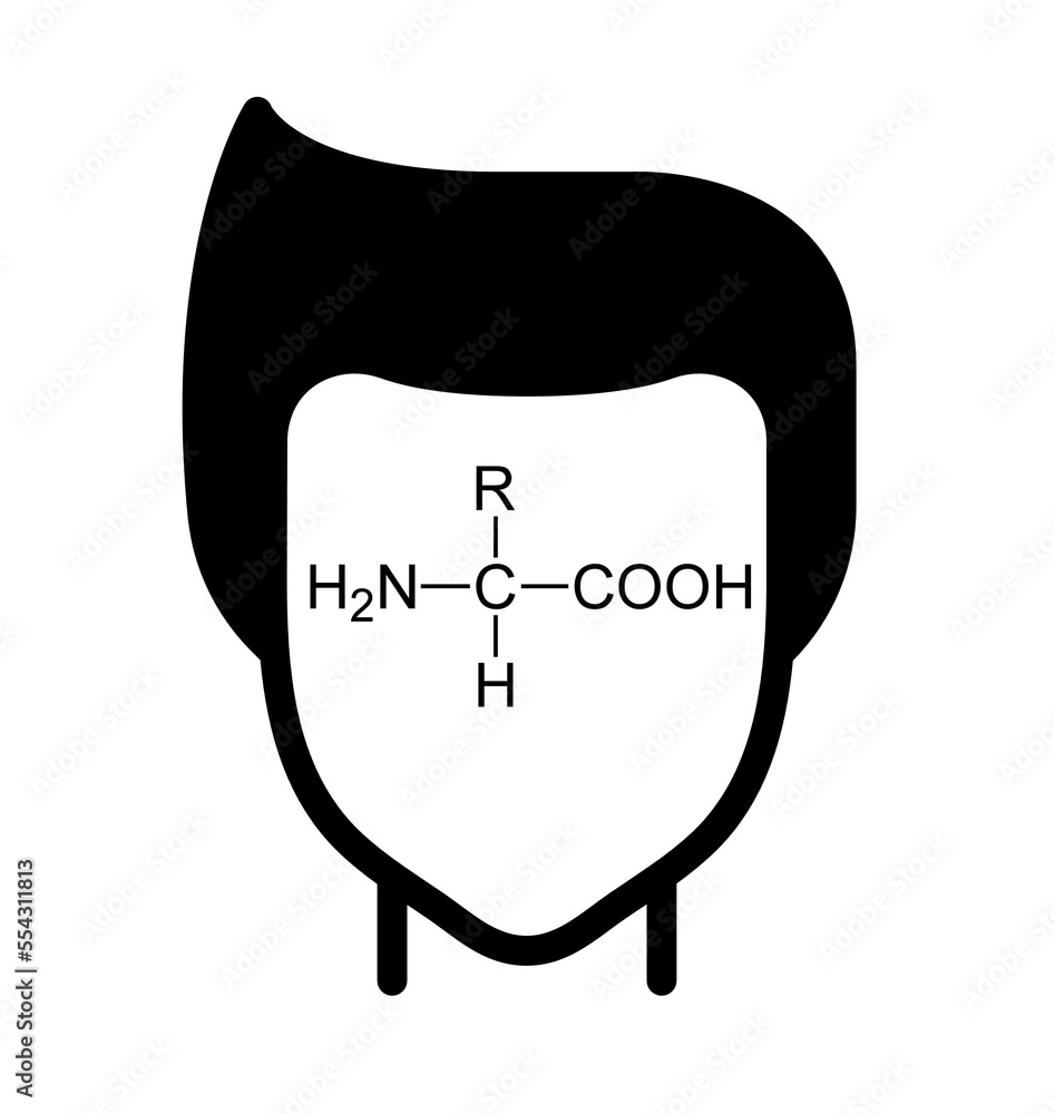 Amino acids are organic compounds that contain both amino and carboxylic acid functional groups