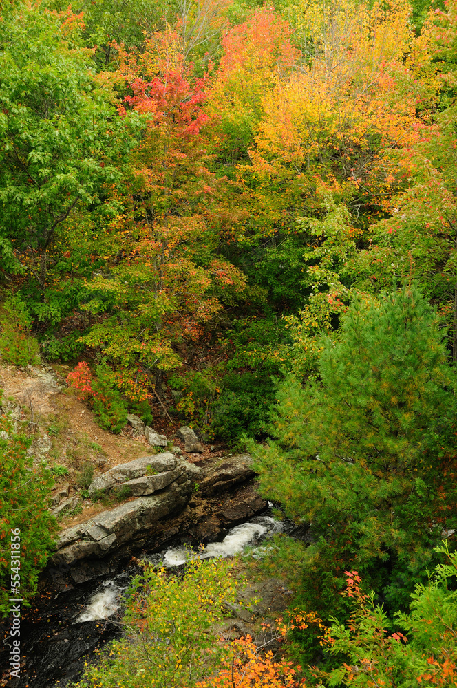 Scenic view of forest and stream from above.; Acadia National Park, Mount Desert Island, Maine. Scenic view of forest and stream from above.; Acadia National Park, Mount Desert Island, Maine.