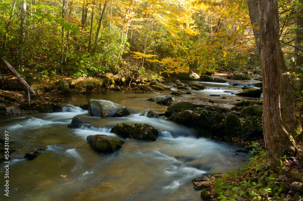 The Little River rushing through a forest in autumn hues.; Little River, Great Smoky Mountains National Park, Tennessee. The Little River rushing through a forest in autumn hues.; Little River, Great Smoky Mountains National Park, Tennessee.