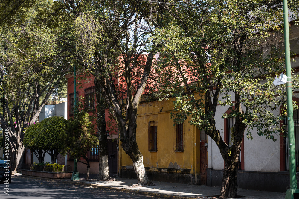 Street with trees and houses of different colours from Mexico