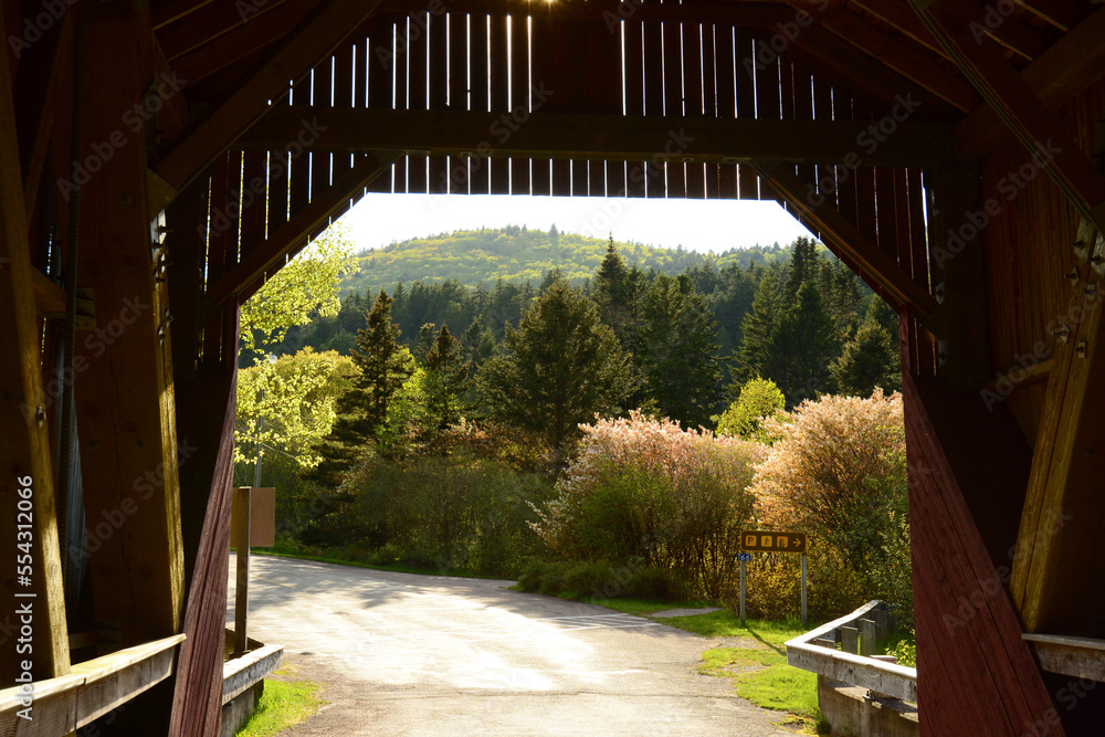 View of Fundy National Park from inside the Point Wolfe covered bridge.; Alma, Fundy National Park, New Brunswick, Canada. View of Fundy National Park from inside the Point Wolfe covered bridge.; Alma, Fundy National Park, New Brunswick, Canada.