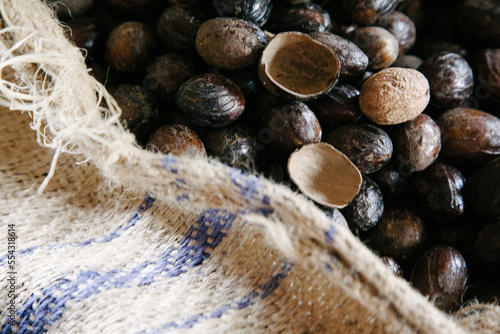 Nutmeg shells in a spice processing plant in Grenada; Gouyave, Grenada, West Indies photo