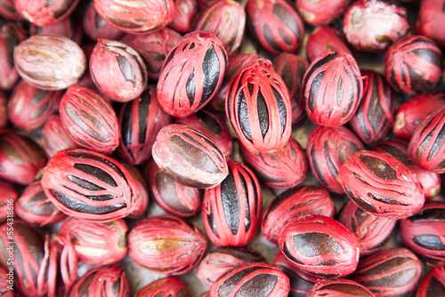 Nutmeg shells in a spice processing plant in Grenada; Gouyave, Grenada, West Indies photo