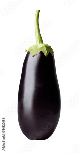 Fresh vegetable eggplant